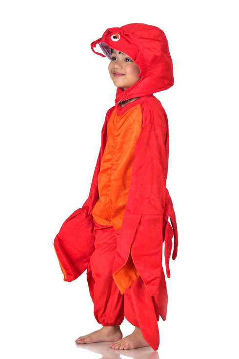 BookMyCostume Crab Aquatic Animal  Kids Fancy Dress Costume